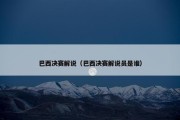 巴西决赛解说（巴西决赛解说员是谁）