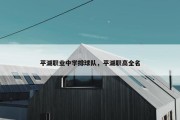 平湖职业中学排球队，平湖职高全名