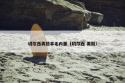 切尔西男款羊毛内里（切尔西 男鞋）