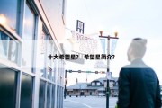 十大希望星？ 希望星简介？