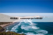 切尔西晨？ commonprojects切尔西？