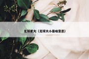 足球更大（足球大小是啥意思）