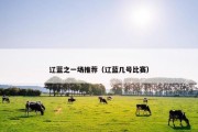 辽蓝之一场推荐（辽蓝几号比赛）