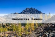 蓝色妖姬切尔西黑色，蓝色妖姬什么