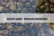中超足球小将董路？ 董路的足球小将有成才的吗？