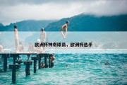 欧洲杯神奇球员，欧洲杯选手