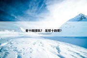 老十四球队？ 足球十四哥？