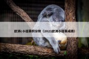 欧洲c小组赛积分榜（2021欧洲小组赛成绩）