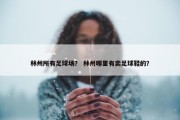 林州所有足球场？ 林州哪里有卖足球鞋的？
