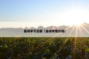 曼城季节豆瓣（曼城季票价格）