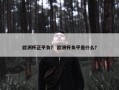 欧洲杯正平负？ 欧洲杯负平是什么？