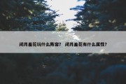 闭月羞花玩什么阵容？ 闭月羞花有什么属性？