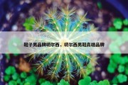 鞋子男品牌切尔西，切尔西男鞋高端品牌