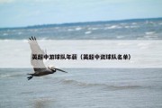英超中游球队年薪（英超中资球队名单）