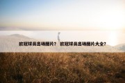 欧冠球员出场图片？ 欧冠球员出场图片大全？