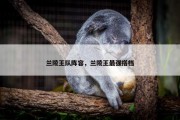 兰陵王队阵容，兰陵王最强搭档