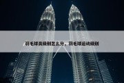 羽毛球员级别怎么分，羽毛球运动级别