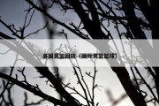 各国男篮回放（国际男篮篮球）