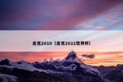 皮克2010（皮克2022世界杯）