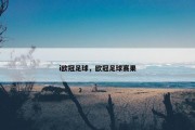 i欧冠足球，欧冠足球赛果