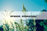 西甲第四轮阵，西甲第四能打欧冠么