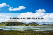 切尔西鞋子什么价位（切尔西鞋子怎么样）