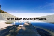 巴萨挖切尔西后防（效力过巴萨和切尔西的球员）