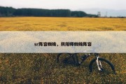 sr阵容蜘蛛，阴阳师蜘蛛阵容