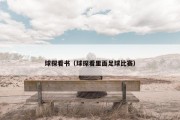 球探看书（球探看里面足球比赛）