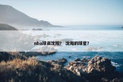 nba球员沈阳？ 沈阳的球星？