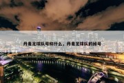 丹麦足球队号称什么，丹麦足球队的绰号