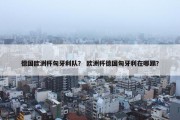 德国欧洲杯匈牙利队？ 欧洲杯德国匈牙利在哪踢？