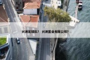 兴洲足球队？ 兴洲置业有限公司？
