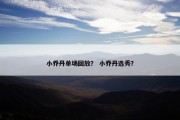 小乔丹单场回放？ 小乔丹选秀？