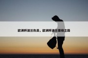 欧洲杯波兰伤员，欧洲杯波兰晋级之路