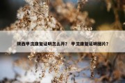 陕西甲流康复证明怎么开？ 甲流康复证明图片？