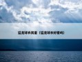猛龙球衣男童（猛龙球衣好看吗）