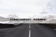 什么阵容打孙坚阵容好打（孙坚最强阵容）