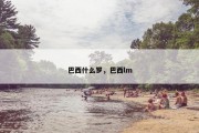 巴西什么罗，巴西lm
