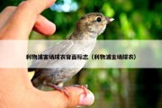 利物浦客场球衣背面标志（利物浦主场球衣）