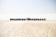 荆州业余球队教练（荆州市篮球协会会长）