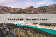 南美伊卡尔迪进球？ 伊卡尔迪是什么样的前锋？