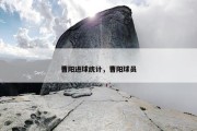 曹阳进球统计，曹阳球员