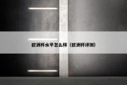 欧洲杯水平怎么样（欧洲杯评测）