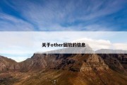 关于other回放的信息
