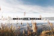 咖啡巴士什么阵容，咖啡巴士插画
