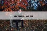 蹲坑马桶回放，蹲坑 马桶