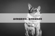 桑切斯曼联青训，桑切斯曼联进球