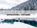 足球开盘分析师排名（足球开盘指数）