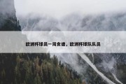 欧洲杯球员一周食谱，欧洲杯球队队员